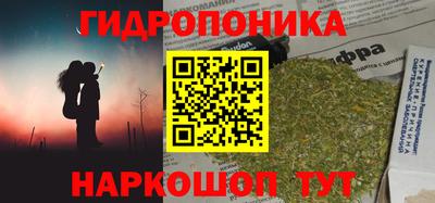 PSILOCYBIN Ярославль