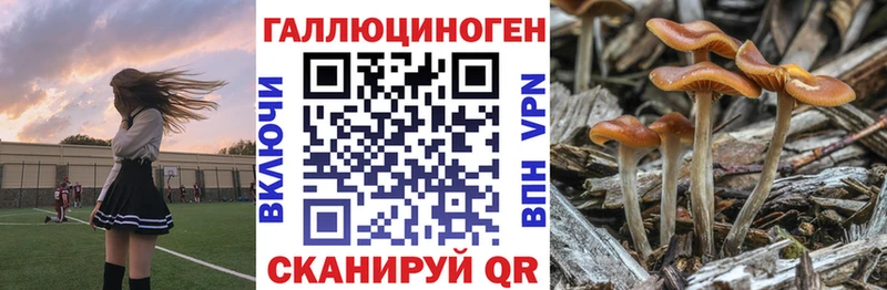 купить наркотик  Ангарск  Псилоцибиновые грибы Magic Shrooms 
