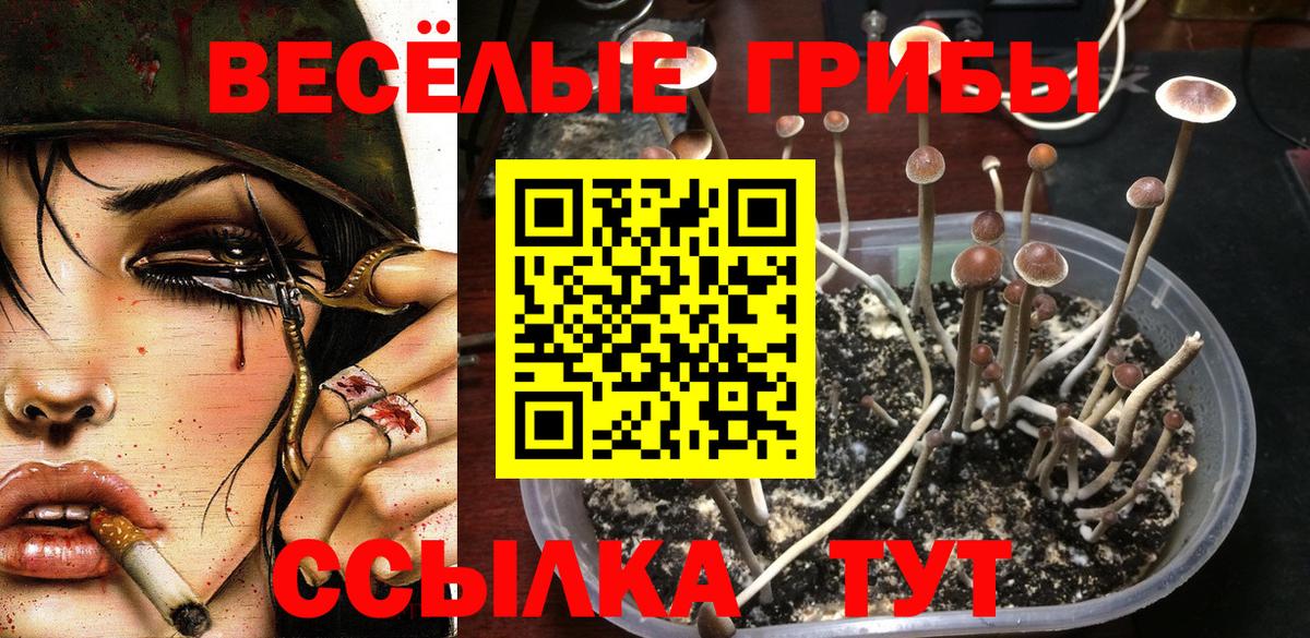 Псилоцибиновые грибы MAGIC MUSHROOMS  Вход с VPN  Псилоцибиновые грибы ЛСД  Ангарск 