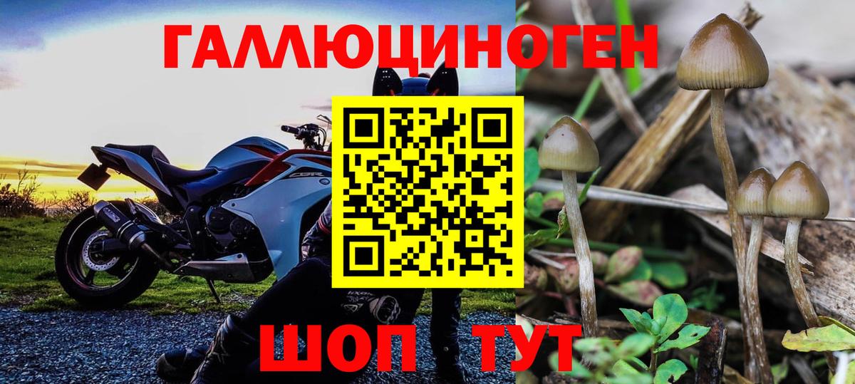 Псилоцибиновые грибы прущие грибы Ангарск